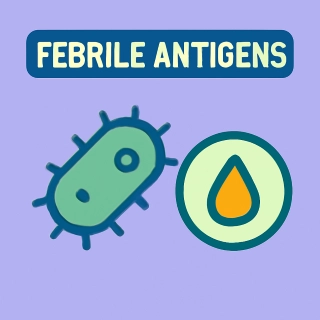 category FEBRILE ANTIGENS