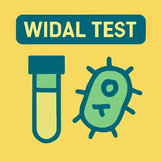 category WIDAL TEST